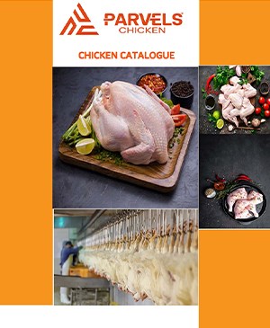 CHICKEN CATALOG